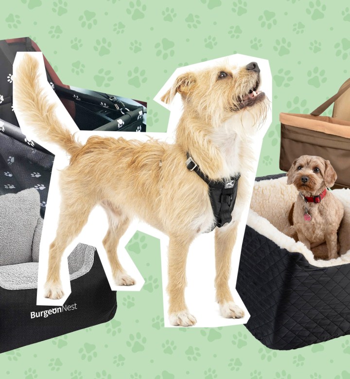 best dog car seats universal