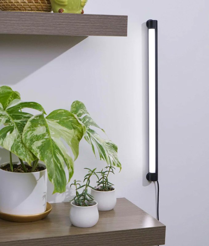 best-gardening-gifts: A couple of plants sitting on a table are warmed by a special LED light fixture on the wall.