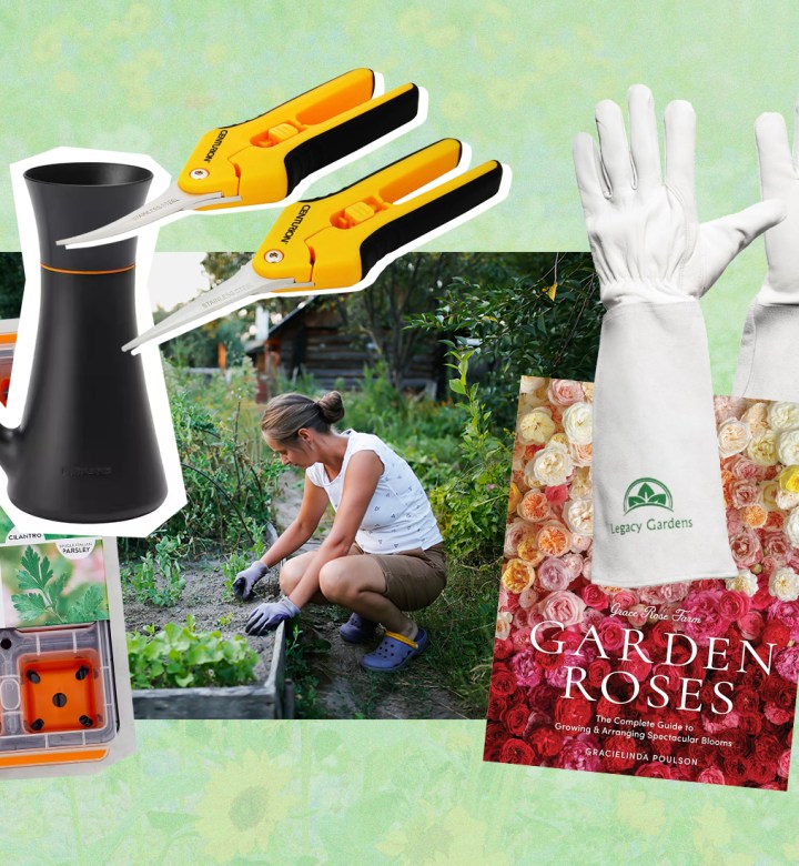 best-gardening-gifts: A collage of items from the article. It features gardening tools, gloves, books and more. In the background is a photo of a woman in a garden. The background border is green with some floral texture.