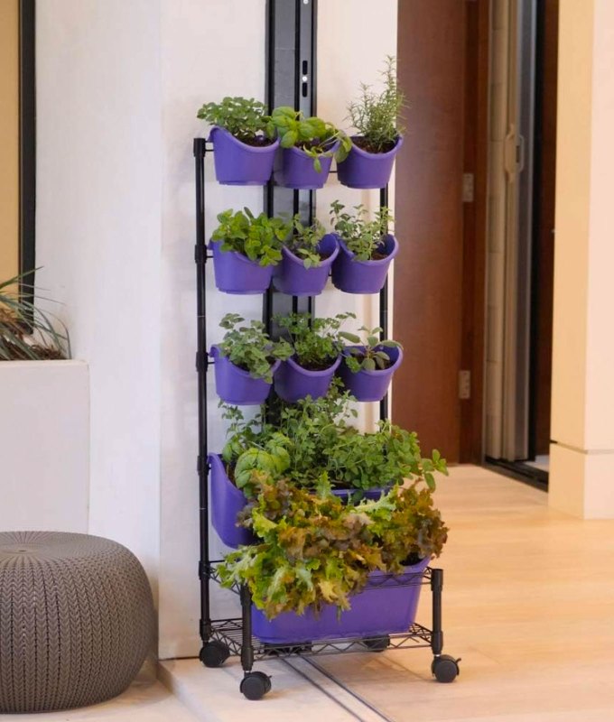 best-gardening-gifts: A green wall structure on wheels filled with purple flowering pots. Each grows herbs and other plants. It sits in a living room.