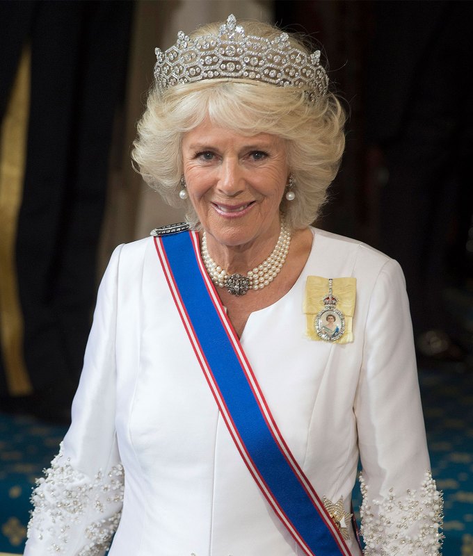 Queen Camilla State Opening Of Parliament CAT