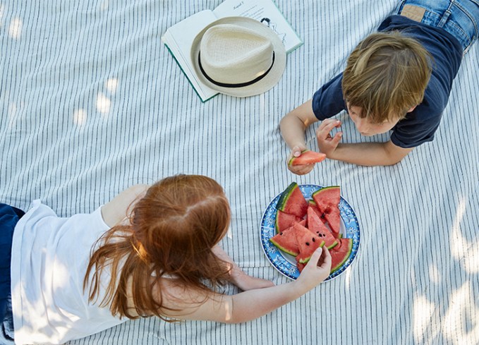 summer activities for kids have a picnic